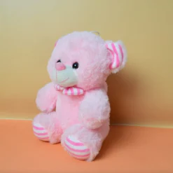 Teddy Bear for Birthday