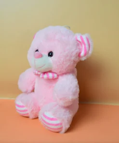 Teddy Bear for Birthday