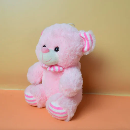Teddy Bear for Birthday